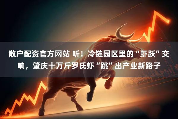散户配资官方网站 听！冷链园区里的“虾跃”交响，肇庆十万斤罗氏虾“跳”出产业新路子