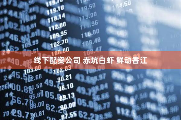 线下配资公司 赤坑白虾 鲜动香江