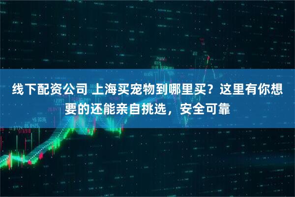 线下配资公司 上海买宠物到哪里买？这里有你想要的还能亲自挑选，安全可靠